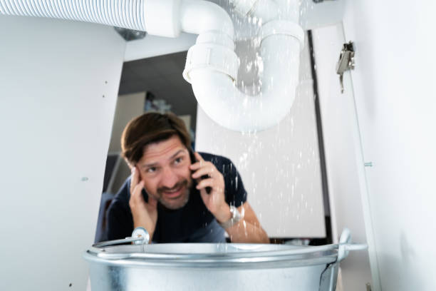 Best Affordable Plumbing Services  in Hialeah Gardens, FL